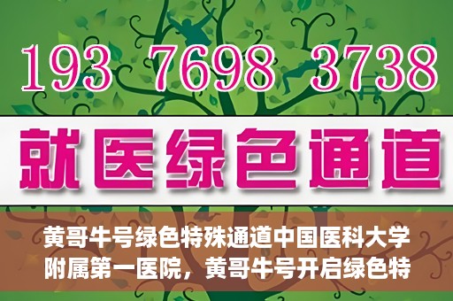 黄哥牛号绿色特殊通道中国医科大学附属第一医院，黄哥牛号开启绿色特殊通道，中国医科大学附属第一医院助力健康中国行动