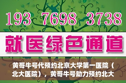 黄哥牛号代预约北京大学第一医院（北大医院），黄哥牛号助力预约北大医院——北京大学第一医院权威预约服务开启