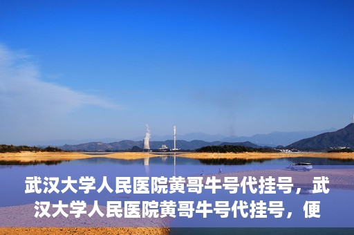 武汉大学人民医院黄哥牛号代挂号，武汉大学人民医院黄哥牛号代挂号，便捷就医背后的故事