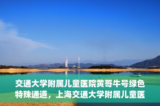 交通大学附属儿童医院黄哥牛号绿色特殊通道，上海交通大学附属儿童医院黄哥牛号绿色特殊通道揭秘