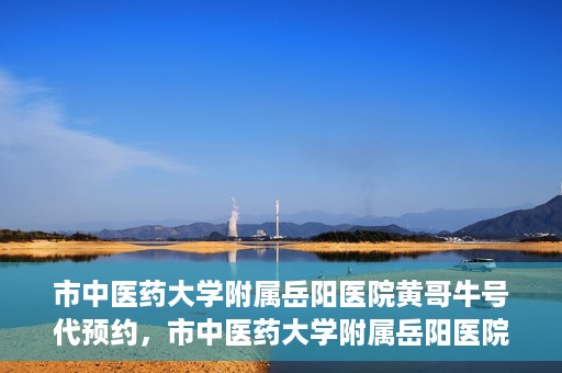 市中医药大学附属岳阳医院黄哥牛号代预约，市中医药大学附属岳阳医院黄哥牛号预约服务启动