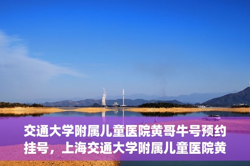 交通大学附属儿童医院黄哥牛号预约挂号，上海交通大学附属儿童医院黄哥牛儿科专家预约挂号攻略
