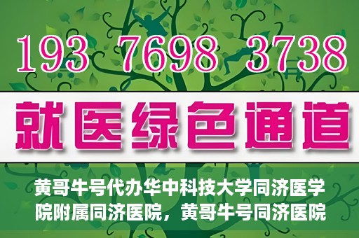 黄哥牛号代办华中科技大学同济医学院附属同济医院，黄哥牛号同济医院代办服务，专业助力就医无忧！