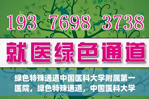 绿色特殊通道中国医科大学附属第一医院，绿色特殊通道，中国医科大学附属第一医院探索前行