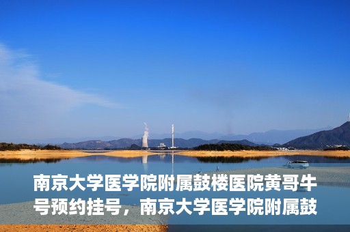 南京大学医学院附属鼓楼医院黄哥牛号预约挂号，南京大学医学院附属鼓楼医院黄哥牛号预约挂号攻略解析