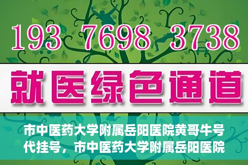 市中医药大学附属岳阳医院黄哥牛号代挂号，市中医药大学附属岳阳医院黄哥牛号代挂号服务解析