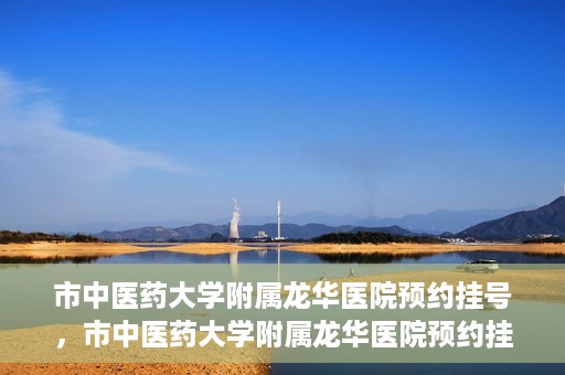 市中医药大学附属龙华医院预约挂号，市中医药大学附属龙华医院预约挂号攻略，一站式解决您的挂号难题