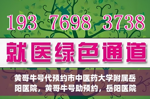 黄哥牛号代预约市中医药大学附属岳阳医院，黄哥牛号助预约，岳阳医院中医魅力体验之旅
