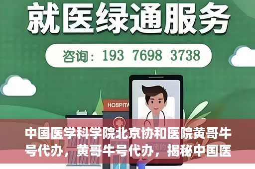 中国医学科学院北京协和医院黄哥牛号代办，黄哥牛号代办，揭秘中国医学科学院北京协和医院背后的故事