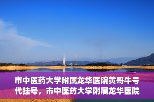 市中医药大学附属龙华医院黄哥牛号代挂号，市中医药大学附属龙华医院黄哥牛号代挂号服务解析