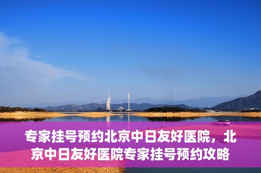 专家挂号预约北京中日友好医院，北京中日友好医院专家挂号预约攻略