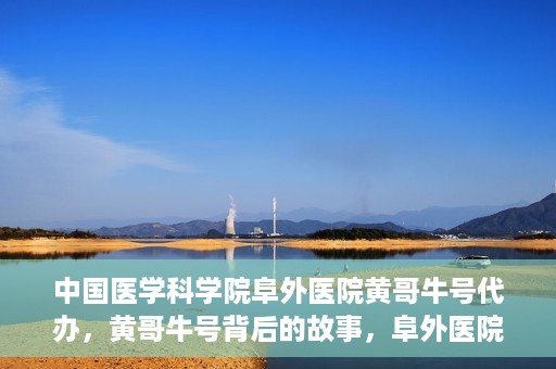 中国医学科学院阜外医院黄哥牛号代办，黄哥牛号背后的故事，阜外医院名医揭秘与医疗服务的深度解读