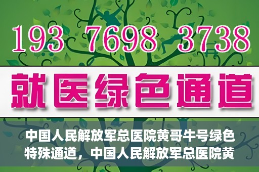 中国人民解放军总医院黄哥牛号绿色特殊通道，中国人民解放军总医院黄哥牛号，绿色特殊通道开启健康之门