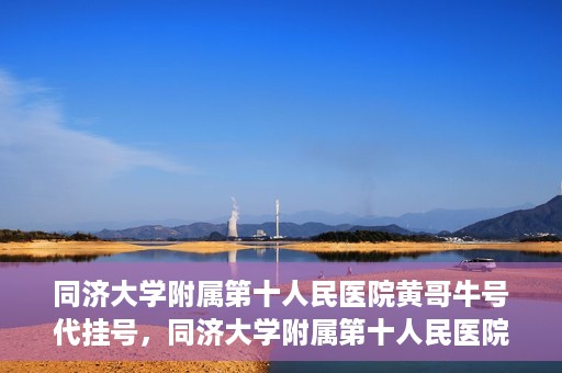 同济大学附属第十人民医院黄哥牛号代挂号，同济大学附属第十人民医院黄哥牛号助您轻松挂号就医