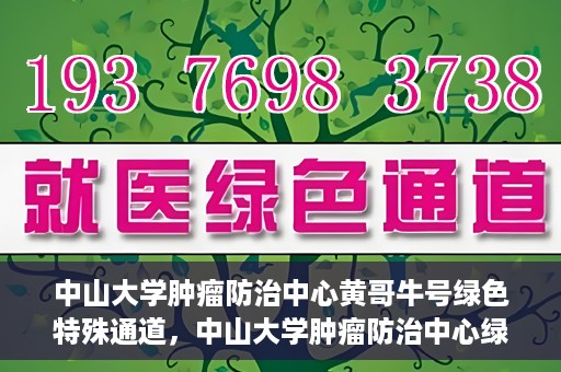 中山大学肿瘤防治中心黄哥牛号绿色特殊通道，中山大学肿瘤防治中心绿色特殊通道——黄哥牛号的守护力量