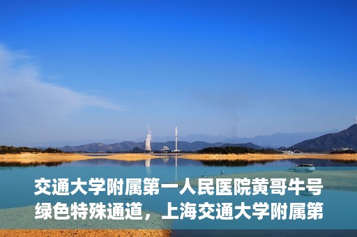 交通大学附属第一人民医院黄哥牛号绿色特殊通道，上海交通大学附属第一人民医院黄哥牛号，绿色特殊通道开启健康之门