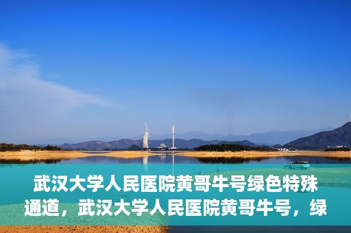 武汉大学人民医院黄哥牛号绿色特殊通道，武汉大学人民医院黄哥牛号，绿色特殊通道开启