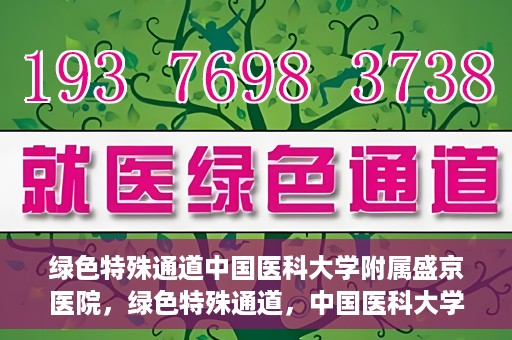 绿色特殊通道中国医科大学附属盛京医院，绿色特殊通道，中国医科大学附属盛京医院的探索与实践