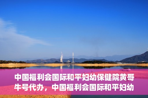 中国福利会国际和平妇幼保健院黄哥牛号代办，中国福利会国际和平妇幼保健院黄哥牛号业务代办全解析