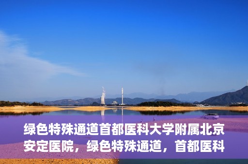 绿色特殊通道首都医科大学附属北京安定医院，绿色特殊通道，首都医科大学附属北京安定医院的探索与实践