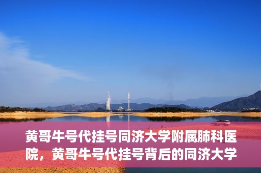 黄哥牛号代挂号同济大学附属肺科医院，黄哥牛号代挂号背后的同济大学附属肺科医院就医故事