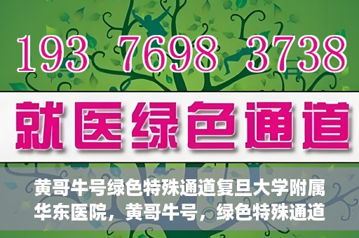 黄哥牛号绿色特殊通道复旦大学附属华东医院，黄哥牛号，绿色特殊通道揭秘，华东医院新篇章开启