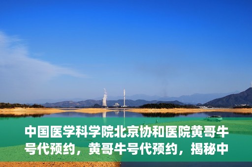 中国医学科学院北京协和医院黄哥牛号代预约，黄哥牛号代预约，揭秘中国医学科学院北京协和医院挂号秘籍