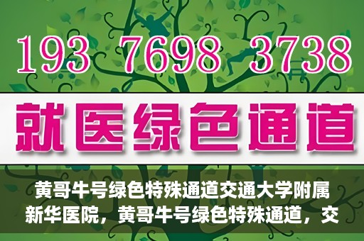黄哥牛号绿色特殊通道交通大学附属新华医院，黄哥牛号绿色特殊通道，交通大学附属新华医院的探索与实践