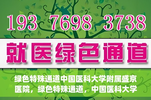 绿色特殊通道中国医科大学附属盛京医院，绿色特殊通道，中国医科大学附属盛京医院的探索与实践