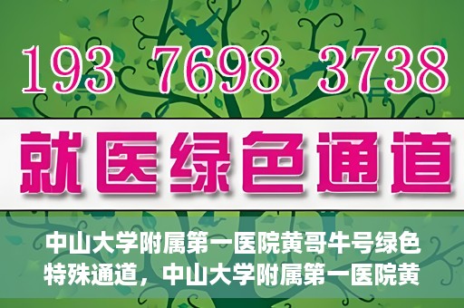 中山大学附属第一医院黄哥牛号绿色特殊通道，中山大学附属第一医院黄哥牛号，绿色特殊通道开启健康之门