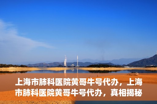 上海市肺科医院黄哥牛号代办，上海市肺科医院黄哥牛号代办，真相揭秘与深度解读