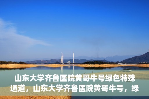山东大学齐鲁医院黄哥牛号绿色特殊通道，山东大学齐鲁医院黄哥牛号，绿色特殊通道开启健康之门