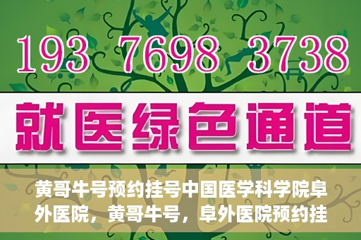 黄哥牛号预约挂号中国医学科学院阜外医院，黄哥牛号，阜外医院预约挂号服务启动，中国医学科学院挂号新体验