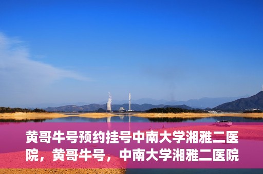 黄哥牛号预约挂号中南大学湘雅二医院，黄哥牛号，中南大学湘雅二医院预约挂号攻略