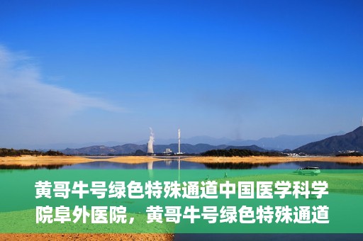 黄哥牛号绿色特殊通道中国医学科学院阜外医院，黄哥牛号绿色特殊通道，阜外医院的中国医学探索之旅