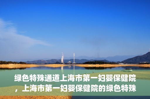 绿色特殊通道上海市第一妇婴保健院，上海市第一妇婴保健院的绿色特殊通道，守护母婴健康的坚实屏障