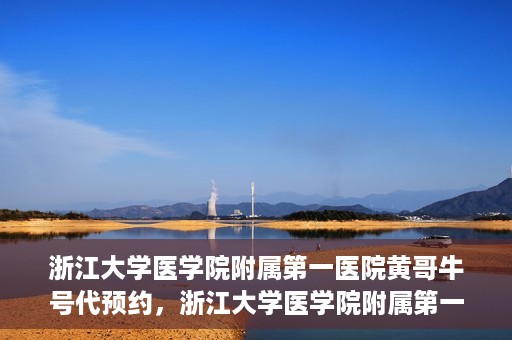 浙江大学医学院附属第一医院黄哥牛号代预约，浙江大学医学院附属第一医院黄哥牛号预约攻略揭秘