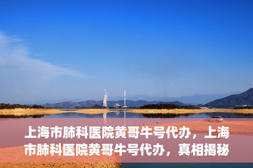 上海市肺科医院黄哥牛号代办，上海市肺科医院黄哥牛号代办，真相揭秘与深度解读