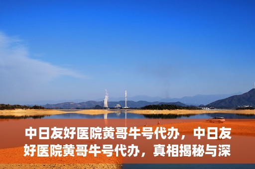 中日友好医院黄哥牛号代办，中日友好医院黄哥牛号代办，真相揭秘与深度解析