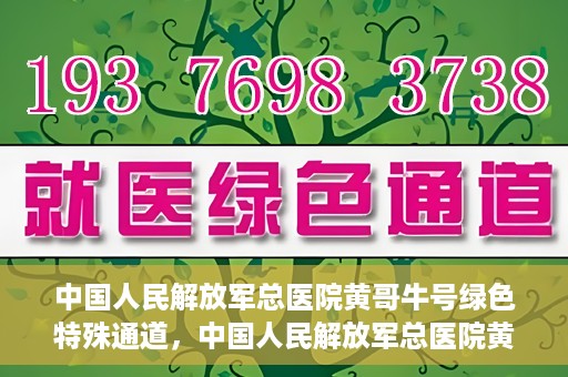 中国人民解放军总医院黄哥牛号绿色特殊通道，中国人民解放军总医院黄哥牛号，绿色特殊通道开启健康之门