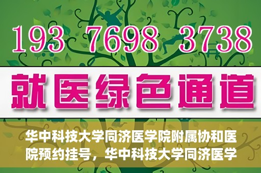 华中科技大学同济医学院附属协和医院预约挂号，华中科技大学同济医学院附属协和医院预约挂号指南