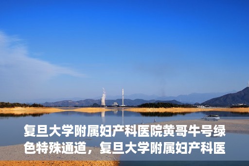 复旦大学附属妇产科医院黄哥牛号绿色特殊通道，复旦大学附属妇产科医院黄哥牛号，绿色特殊通道开启健康之门