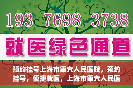 预约挂号上海市第六人民医院，预约挂号，便捷就医，上海市第六人民医院挂号指南