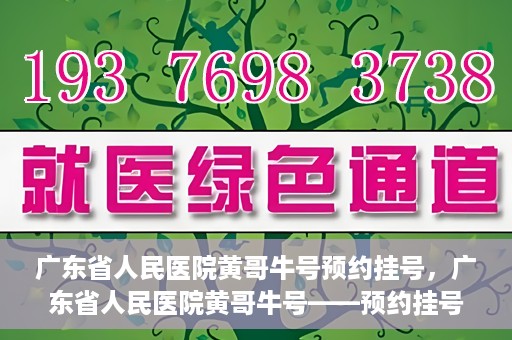 广东省人民医院黄哥牛号预约挂号，广东省人民医院黄哥牛号——预约挂号攻略