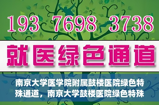 南京大学医学院附属鼓楼医院绿色特殊通道，南京大学鼓楼医院绿色特殊通道，健康守护的新路径