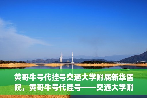 黄哥牛号代挂号交通大学附属新华医院，黄哥牛号代挂号——交通大学附属新华医院的健康护航之路