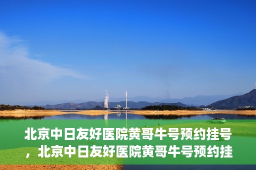 北京中日友好医院黄哥牛号预约挂号，北京中日友好医院黄哥牛号预约挂号指南