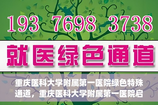 重庆医科大学附属第一医院绿色特殊通道，重庆医科大学附属第一医院启动绿色特殊通道，高效医疗服务的探索与实践