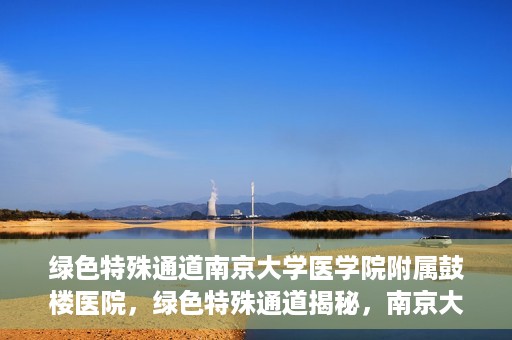 绿色特殊通道南京大学医学院附属鼓楼医院，绿色特殊通道揭秘，南京大学医学院附属鼓楼医院的探索与实践