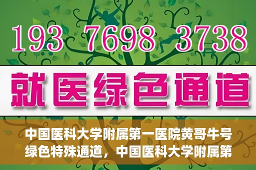 中国医科大学附属第一医院黄哥牛号绿色特殊通道，中国医科大学附属第一医院黄哥牛号，绿色特殊通道的开启与探索
